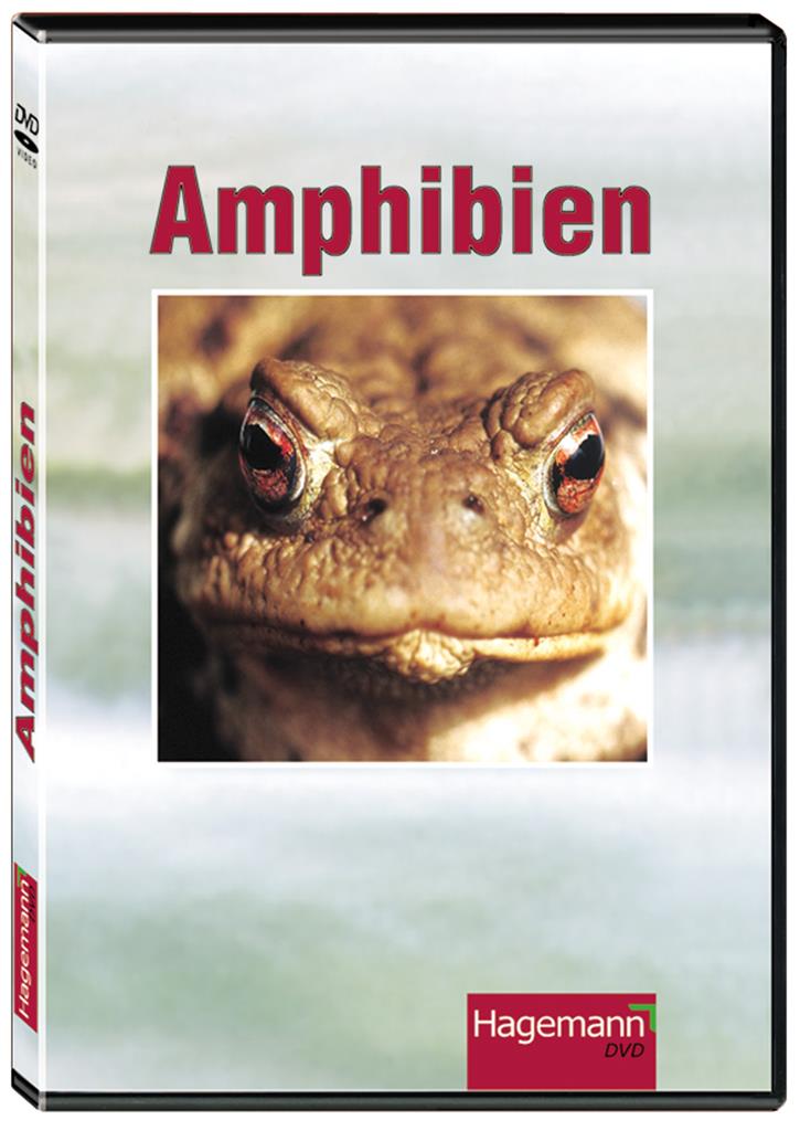 Amphibien, DVD 