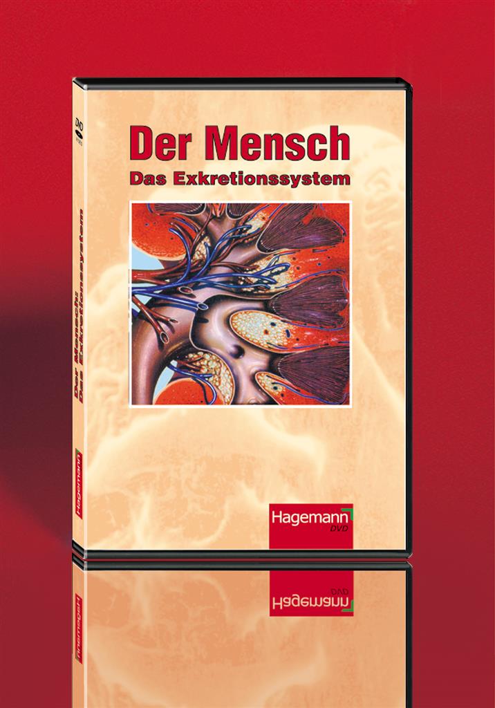 Der Mensch: Das Exkretionssystem DVD