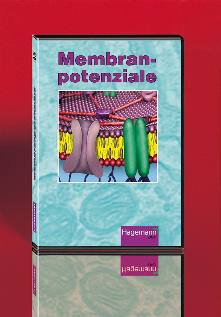 Membranpotenziale, DVD 