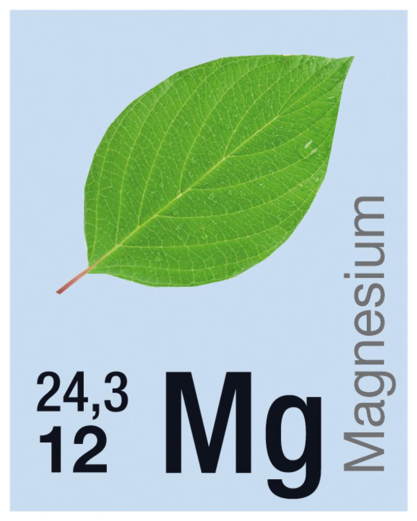 PSE-Schülerhandblatt DIN A4,  Klassensatz mit 30 St.