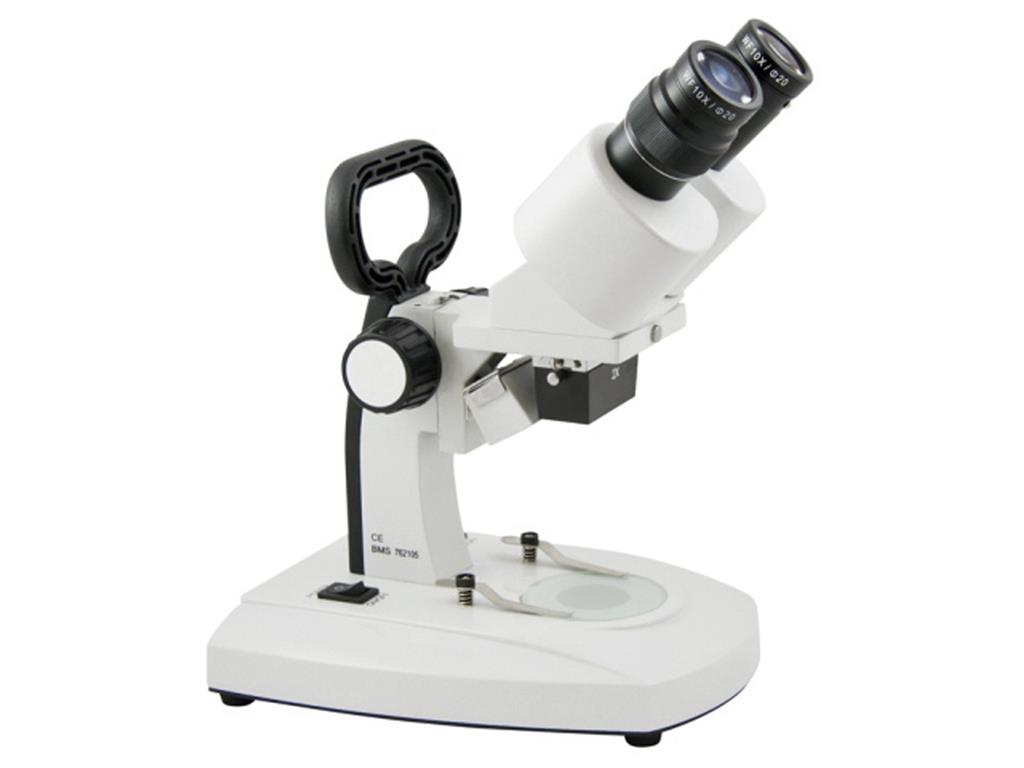 Stereomikroskop 2x (schräg) mit LED-Beleuchtung