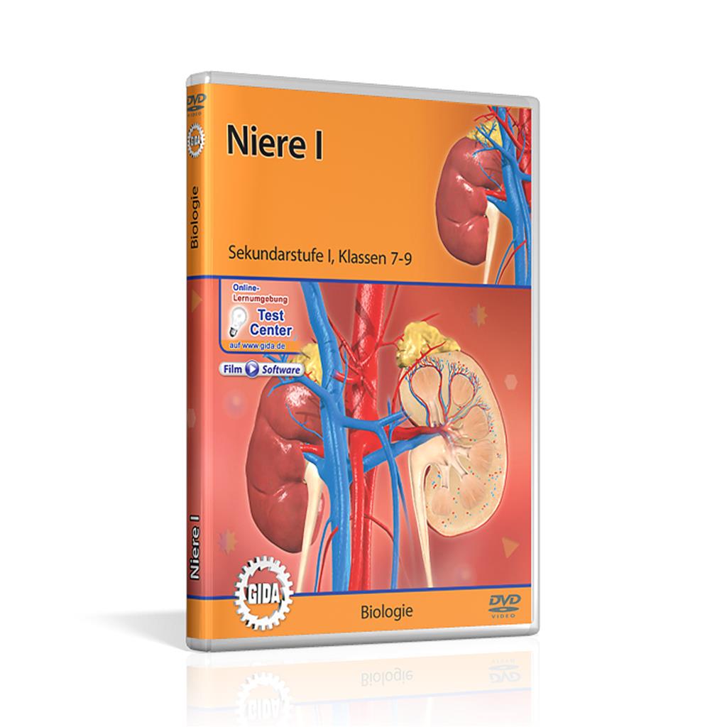 Niere I, DVD 