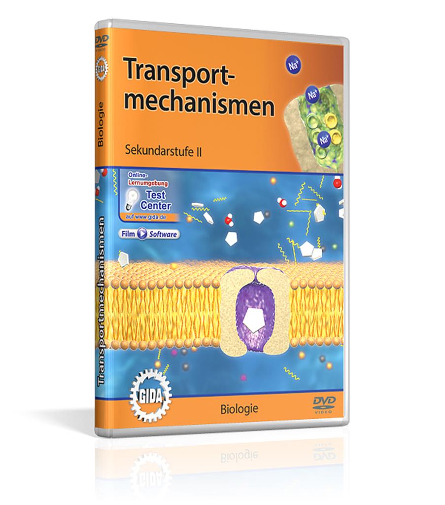 Transportmechanismen GIDA-DVD
