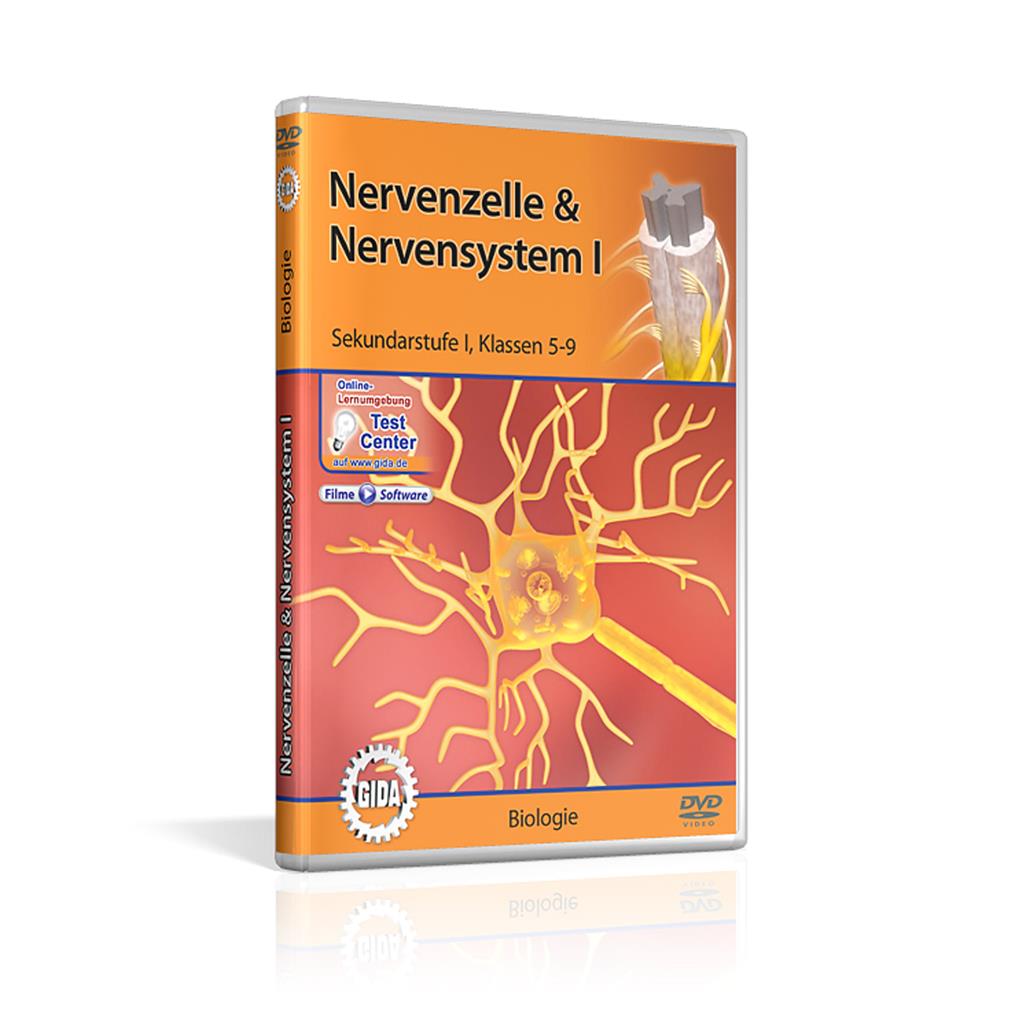 Nervenzelle & Nervensystem I, DVD 