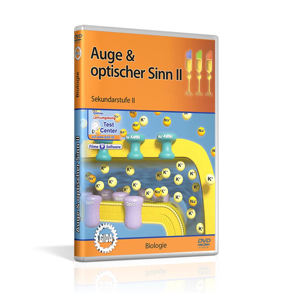 Auge & optischer Sinn II DVD