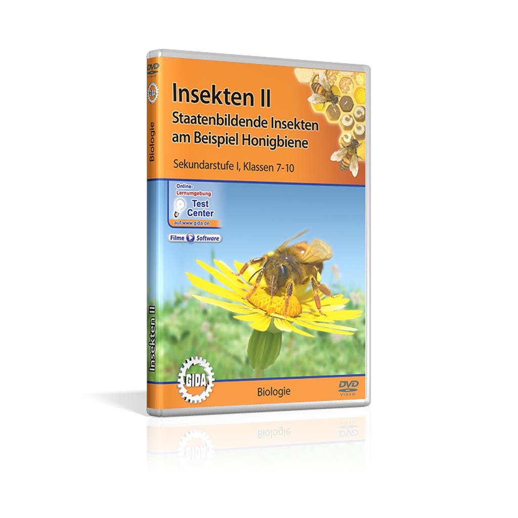 Insekten II - Staatenbildende Insekten am Beispiel Honigbiene; DVD