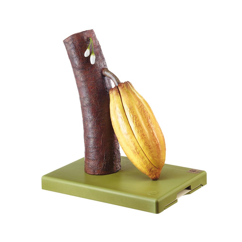 Frucht des Kakaobaums Somso-Plast