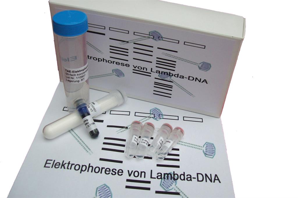 Elektrophorese von Lambda-DNA Experimentier-Kit