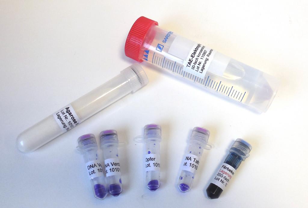 Genetischer Fingerabdruck Experimentier-Kit