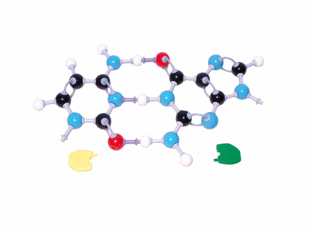 Die Basen der DNA, Molekülmodell 