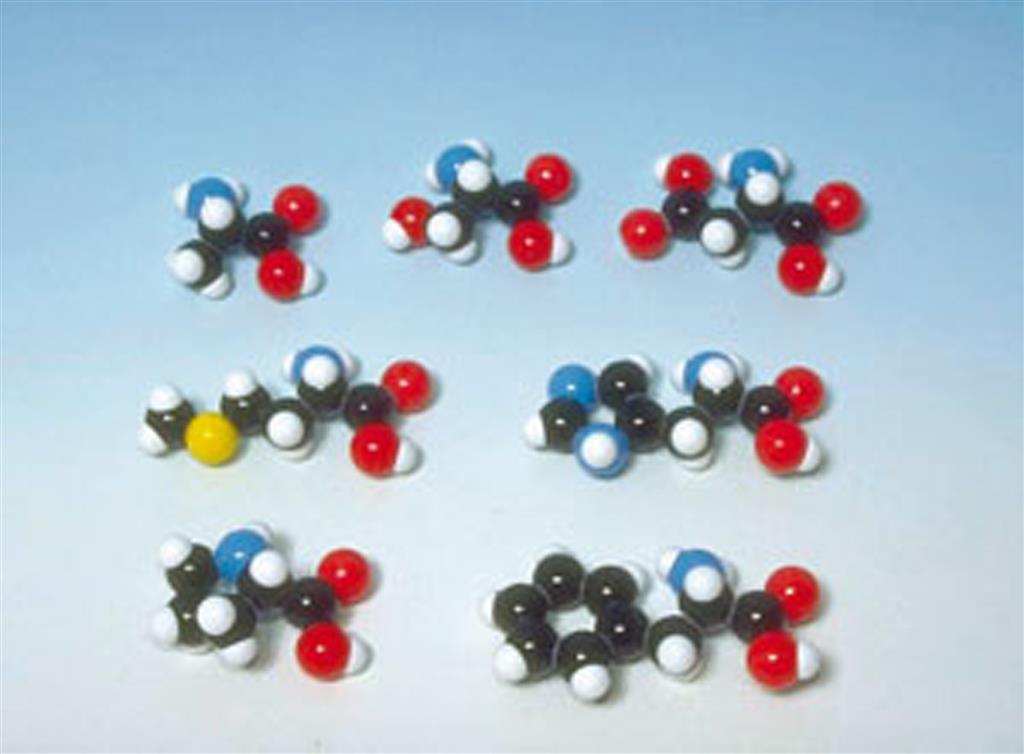 Molekülbaukasten, 7 Aminosäuren Molymod