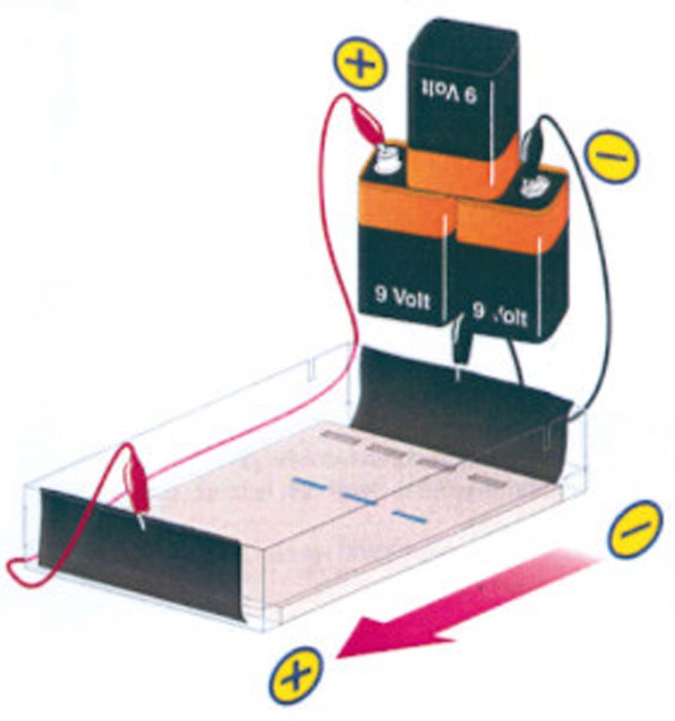 Elektrophorese von DNA 