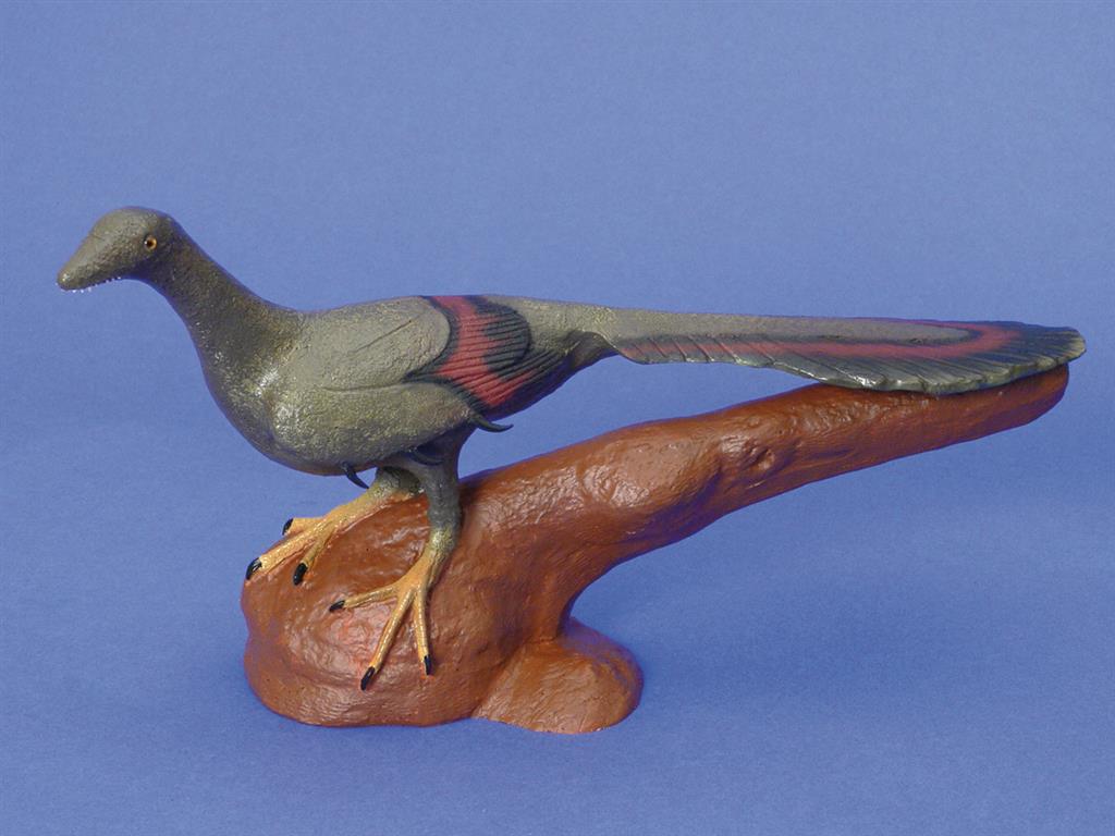 Nachbildung "Archaeopteryx" 