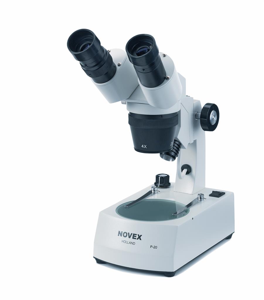 Stereomikroskop mit LED-Auf-, Durch- und Mischlicht, Objektive 2x/4x