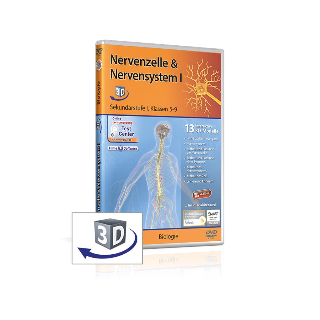 Nervenzelle & Nervensystem I real3D-Software, DVD