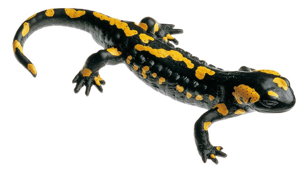 Gefleckter Feuersalamander männl. Tierplastik