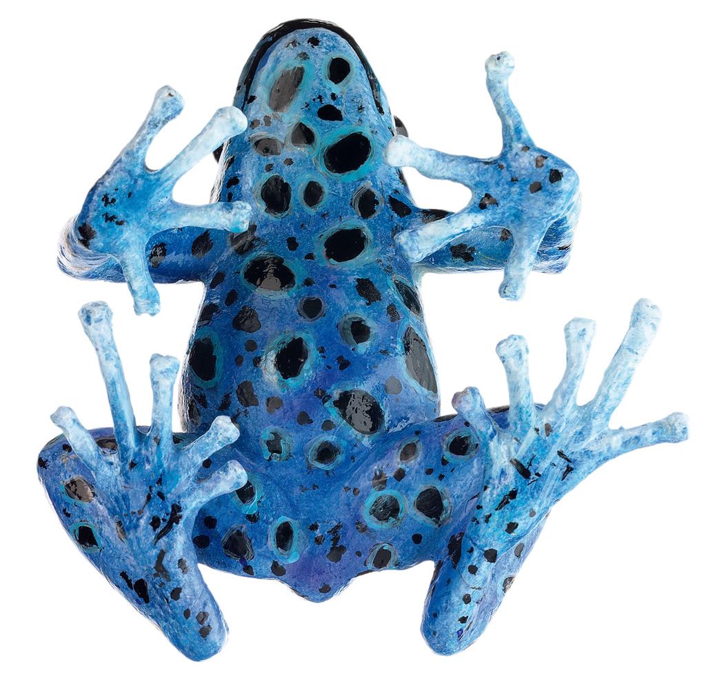 Blauer Pfeilgiftfrosch, weiblich Somso-Tierplastik