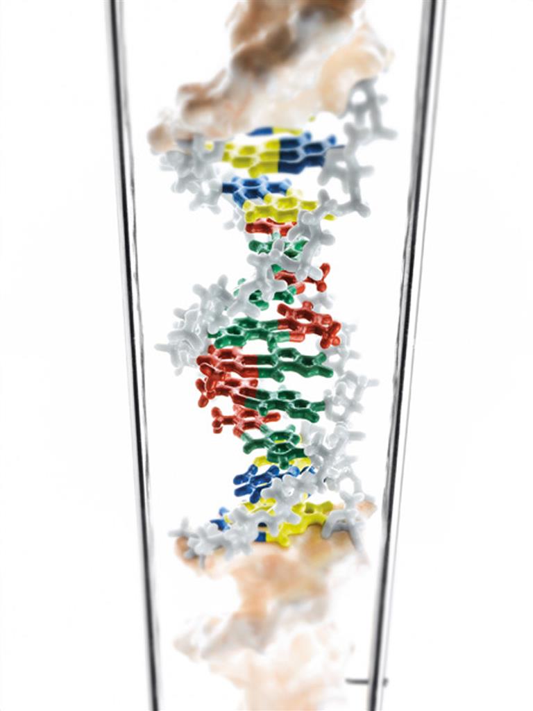 DNA-Doppelhelix 