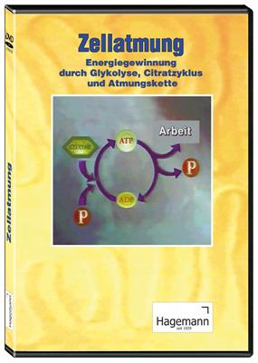 Zellatmung - Energiegewinnung durch Glykolyse..., DVD