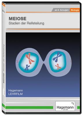 Meiose - Stadien der Reifeteilung DVD