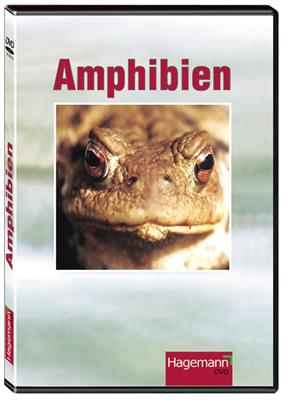 Amphibien, DVD 
