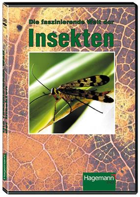 Insekten - DVD 