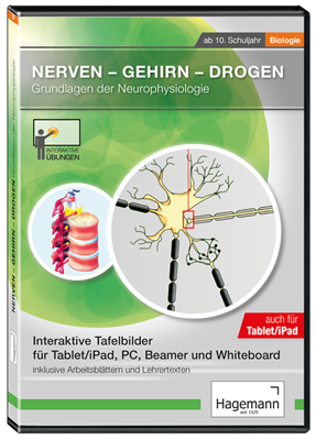 Nerven, Gehirn, Drogen (Tablet-Version), Interaktive CD-ROM, Schullizenz