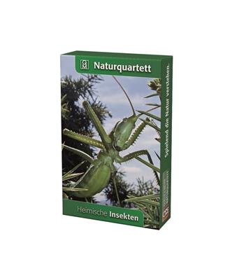 Heimische Insekten Naturquartett