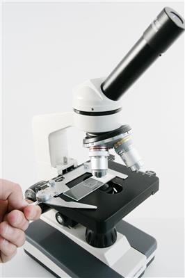 Schulmikroskop Erudit DLX Vergrößerung 40-1000x, LED-Beleuchtung