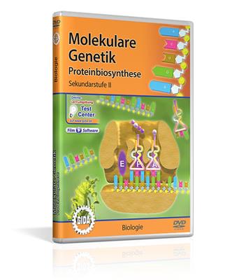 Genetik - Molekulare Genetik, Proteinbiosynthese GIDA-DVD