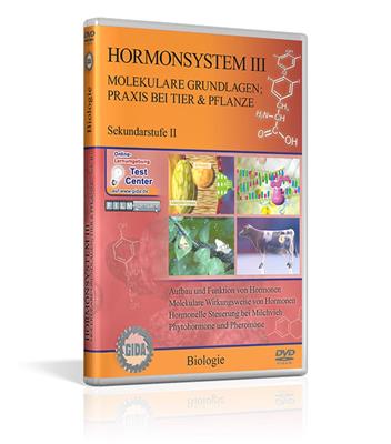 Hormonsystem III - Molekulare Grundlagen; DVD; Neuauflage