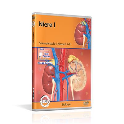 Niere I, DVD 