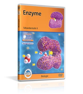 Enzyme GIDA-DVD