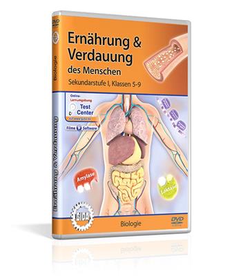 Ernährung & Verdauung des Menschen; DVD