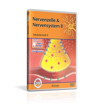 Nervenzelle & Nervensystem II, DVD 