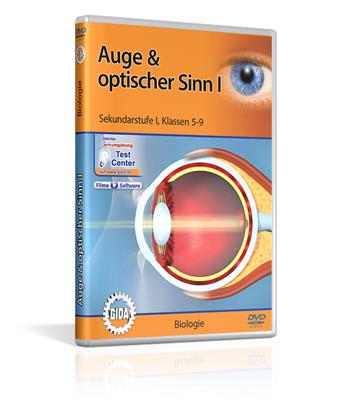 Auge & optischer Sinn I DVD