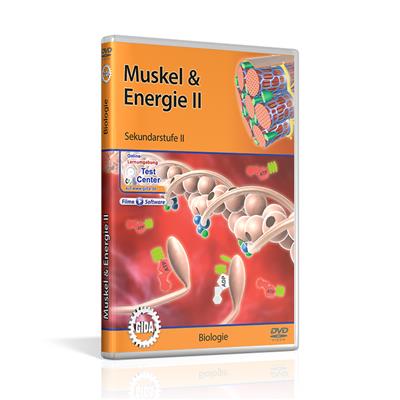 Muskel & Energie II; DVD 