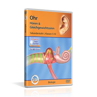 Ohr - Hören & Gleichgewichtssinn DVD