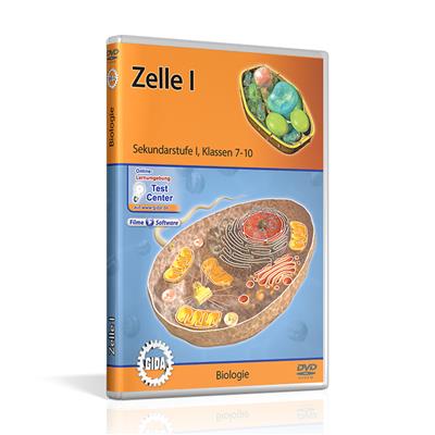 Zelle I GIDA-DVD