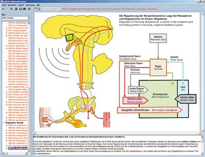 Nervensystem und Informationsübertragung Teil 2 CD-ROM