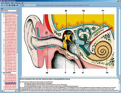 Die Sinnesorgane als Tor zur Umwelt, CD-ROM