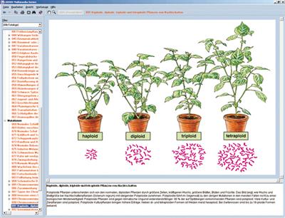 Mendelsche Gesetze, Modifikation und Mutation, CD-ROM