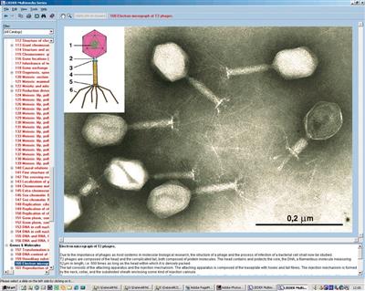 Vererbung und Genetik des Menschen Teil 1, CD-ROM