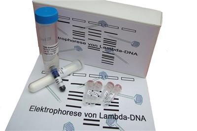 Elektrophorese von Lambda-DNA Experimentier-Kit