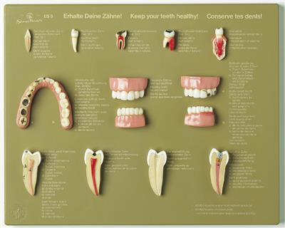 Schaukasten "Erhalte deine Zähne" 
