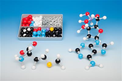 Schülerbaukasten Biochemie Molymod