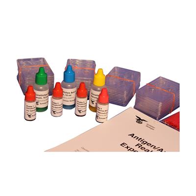 Antigen / Antikörperreaktion Experimentierkit