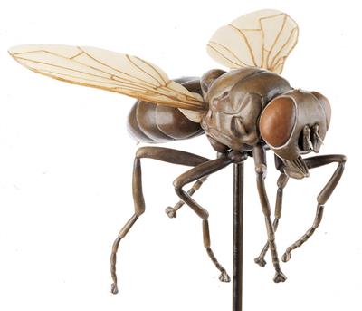 Fliege, 30fach vergrößert Somso-Plast, unzerlegbar