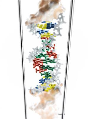 DNA-Doppelhelix 