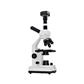 Mikroskop BMS 100-FL mit abnehmbarer Kamera 3 MP